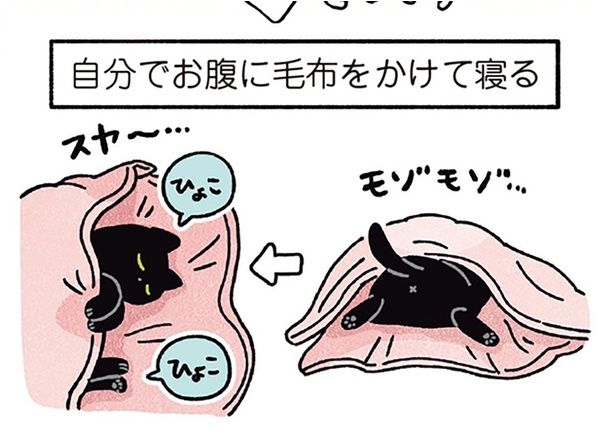 自分でお腹に毛布をかけて寝る （C）AKR／KADOKAWA