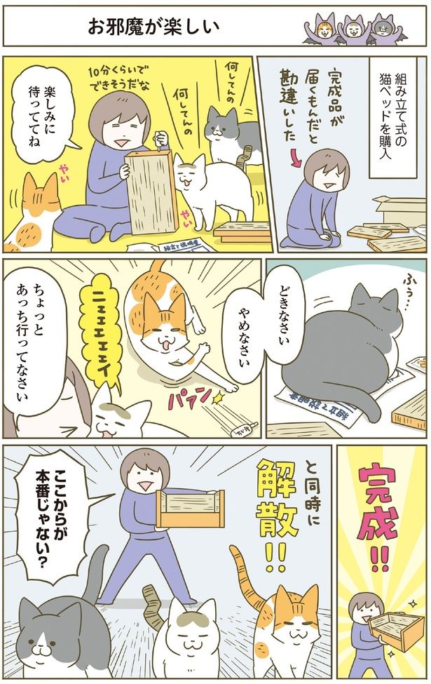 お邪魔が楽しい （C）卵山玉子／KADOKAWA