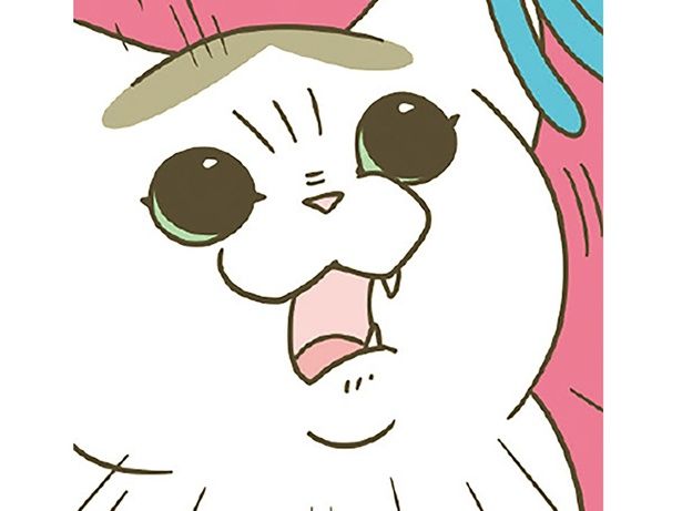 猫の気合 （C）卵山玉子／KADOKAWA