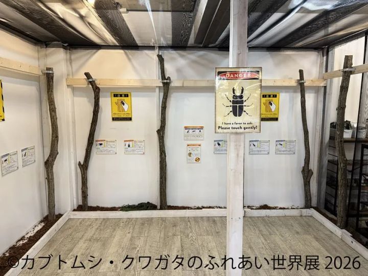 ふれあい体験コーナー(2)
