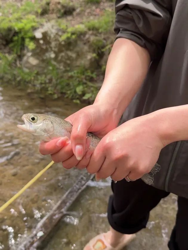 魚つかみどり体験