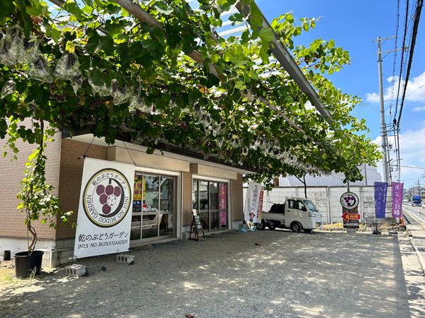 【大阪府柏原市】「試食しないと買えない」ぶどう直売所OPEN！自分の舌で味を確かめてから選ぶ