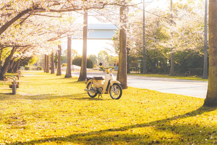 賞は洗い越しでチルするCT110！OHVの路地裏からしまなみフィルム旅までカブonlyフォトコンテスト受賞作6選