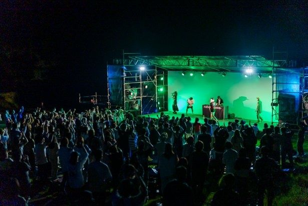 フェスを盛り上げるアーティストのライブパフォーマンス