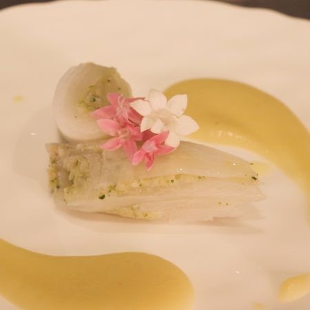 【神奈川県横浜市】結婚式場で愛犬と楽しむ“食×音楽”企画！愛犬用「ピュアキューブ」特別メニューを用意