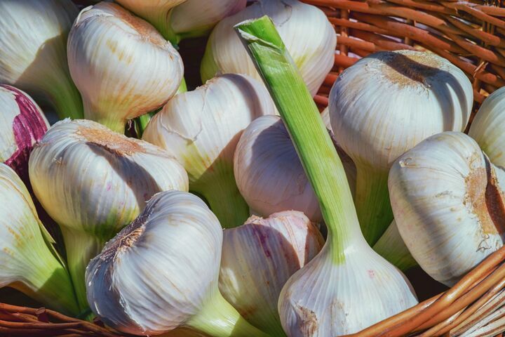 にんにくの芽の取り方は？食べても大丈夫？