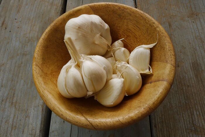 『芽が出たにんにく』はNGじゃない！そのまま捨てちゃう前に。意外と知らない豆知識