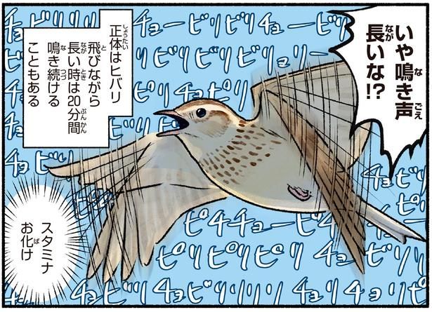 スタミナお化け （C）piro piro piccolo／KADOKAWA