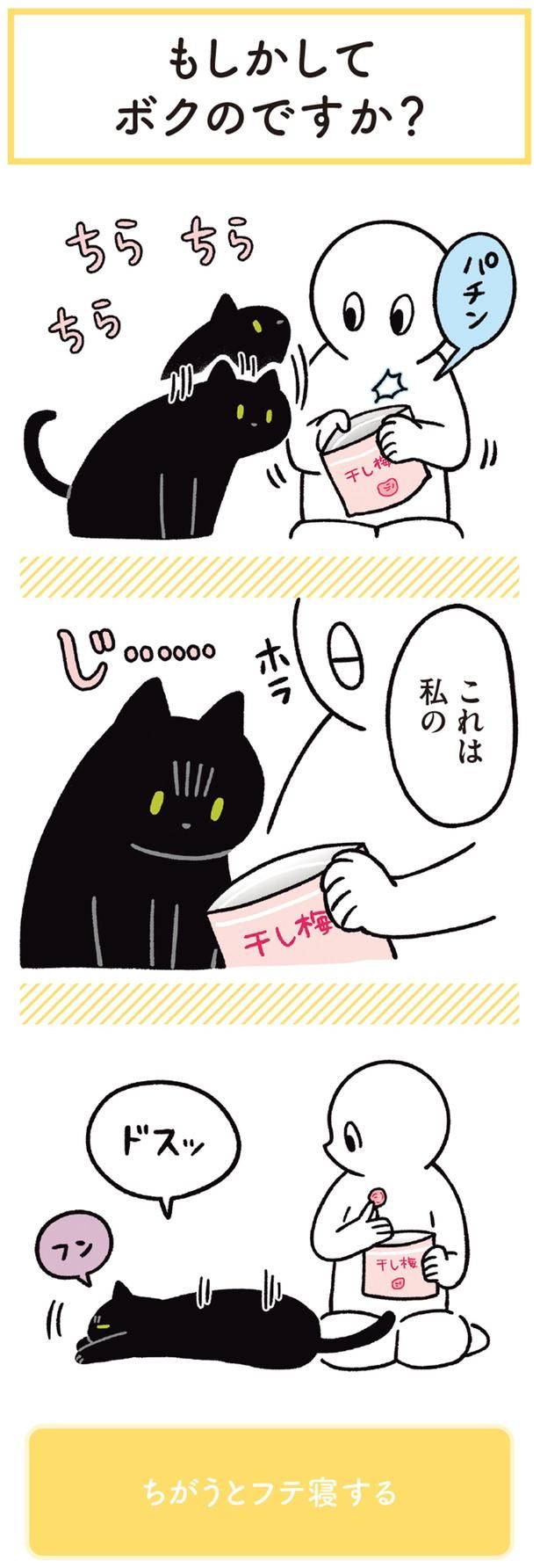 これは私の （C）AKR／KADOKAWA