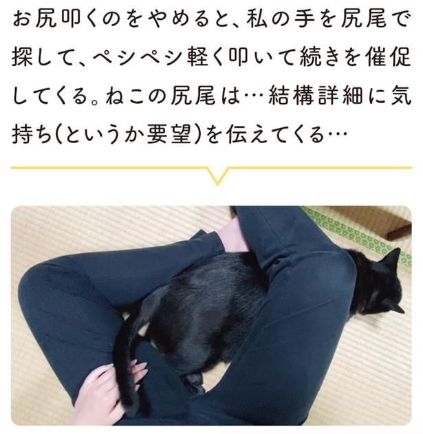 結構詳細に気持ち（というか要望）を伝えてくる… （C）AKR／KADOKAWA