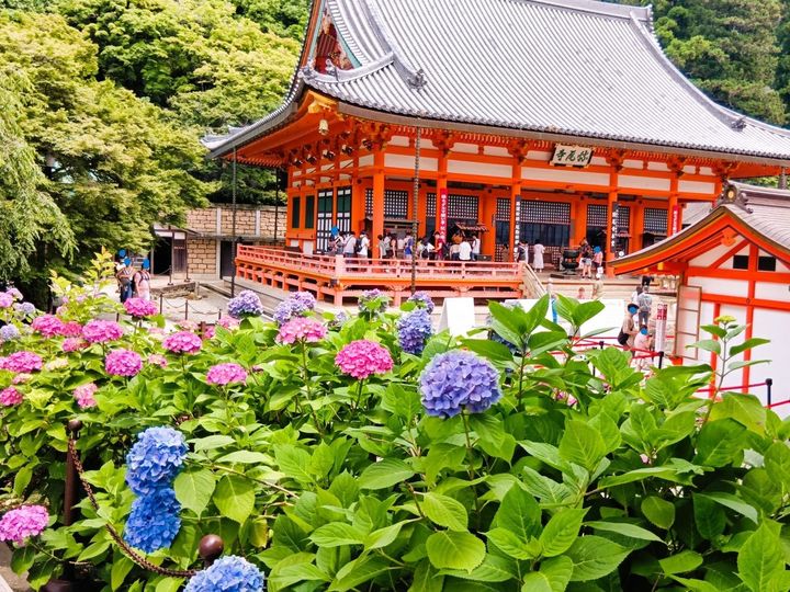 ラムネが爽やか！甘酸っぱいラズベリー餡のハート紫陽花カップケーキ