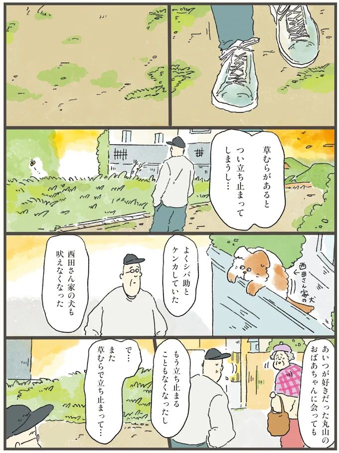 10-04.webp