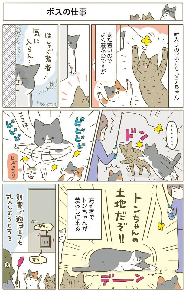 ボスの仕事 （C）卵山玉子／KADOKAWA