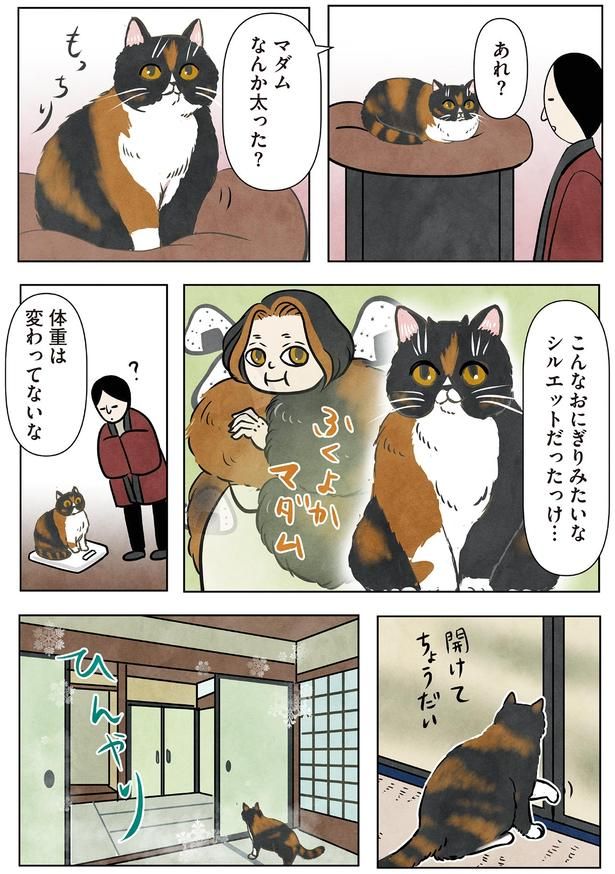 マダムなんか太った？ （C）かんさび／KADOKAWA