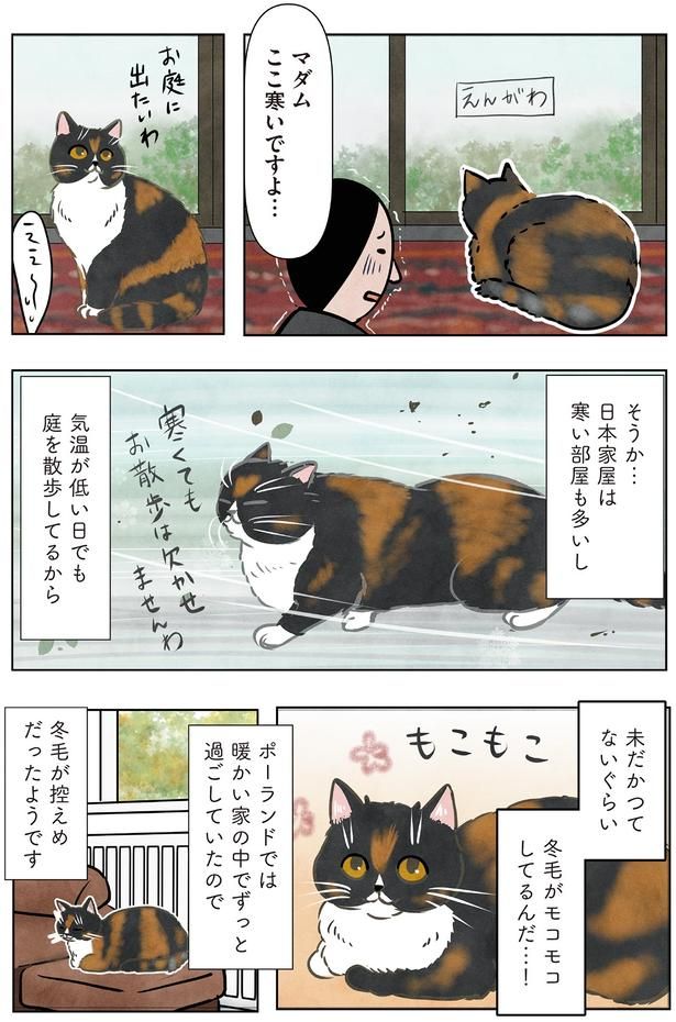 冬毛がモコモコしてるんだ…！ （C）かんさび／KADOKAWA