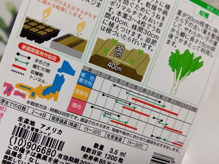 【今年はサカタのタネで！】またまた今年も大豊作～！チマサンチュを楽しんでいます。ズボラ式なんだけどね