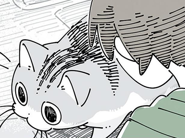 割り込み （C）キュルZ／KADOKAWA