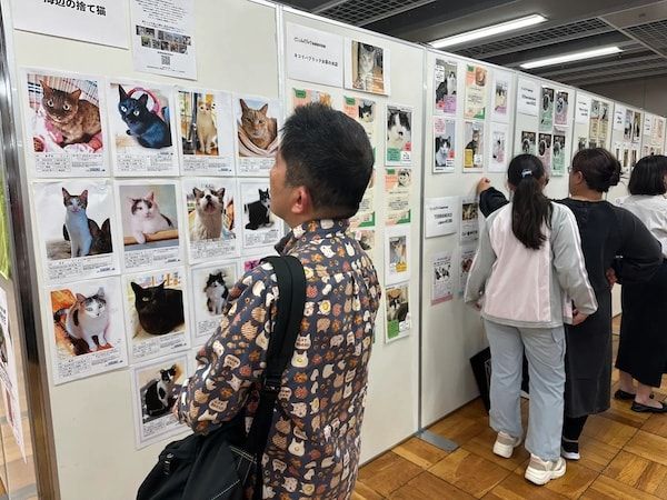 【東京都台東区】猫の健康／シニア猫をテーマに「にゃんだらけ21」開催！10周年を迎える猫好きの祭典