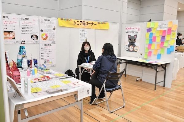 【東京都台東区】猫の健康／シニア猫をテーマに「にゃんだらけ21」開催！10周年を迎える猫好きの祭典
