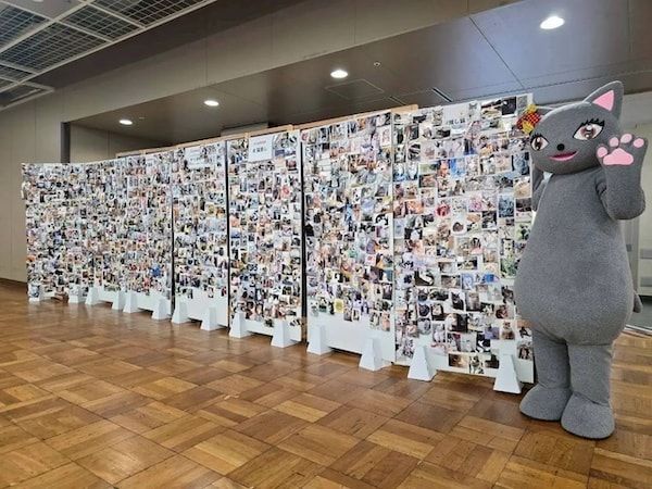 【東京都台東区】猫の健康／シニア猫をテーマに「にゃんだらけ21」開催！10周年を迎える猫好きの祭典