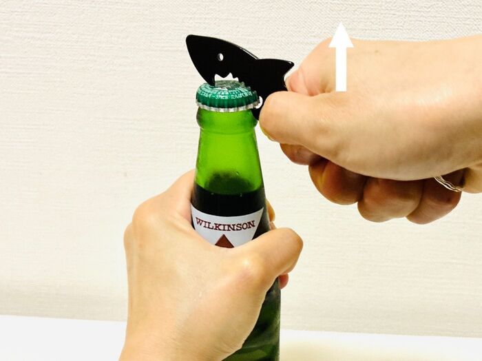 【セリア】ただのキーホルダーじゃない！持っているとヒーローになれる『マルチなサメ』の正体とは？