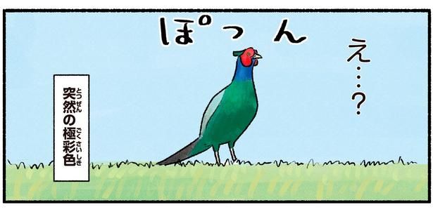 突然の極彩色 （C）piro piro piccolo／KADOKAWA