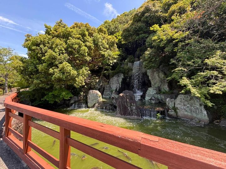 庭園 滝