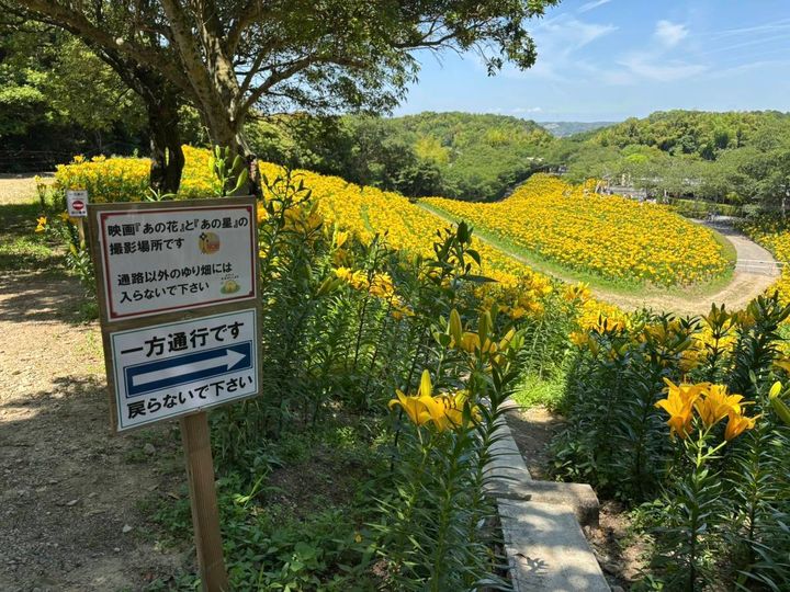 あの花 あの星 ロケ地