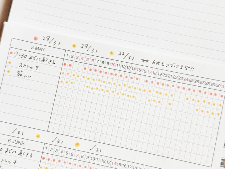 月末に振り返り、続けられた日をカウントすると、続いていることに気づいてうれしくなります。
