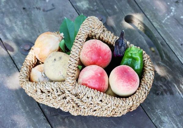 【神奈川県横浜市】『galbe』に旬の桃を丸ごと使用したケーキが登場！夏限定のクッキー缶も