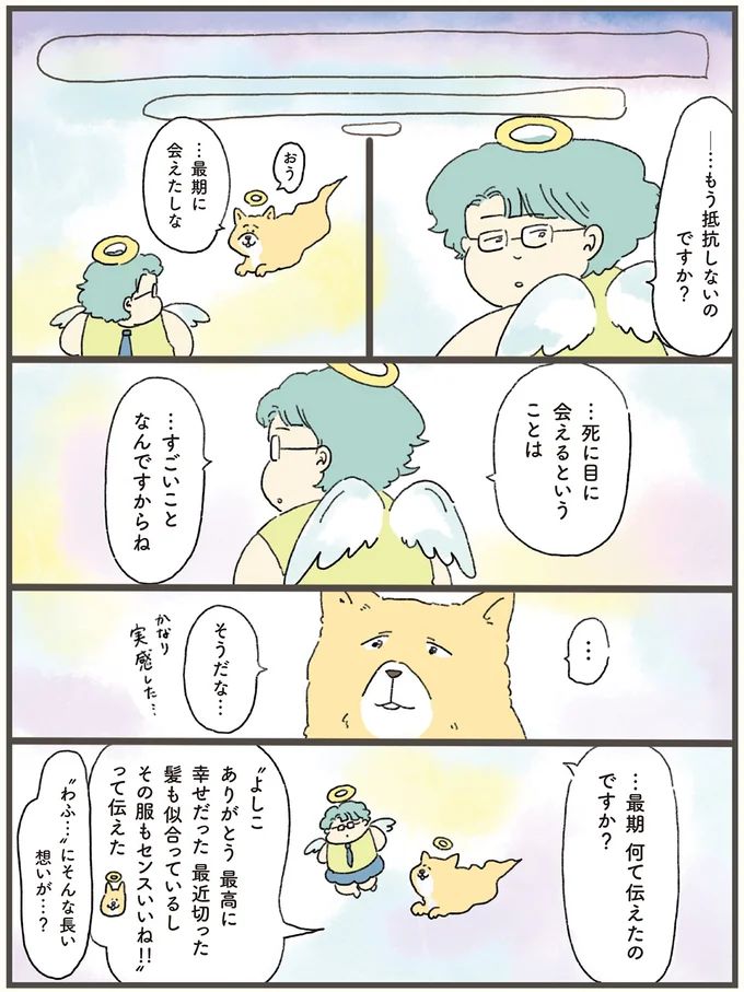 11-06.webp