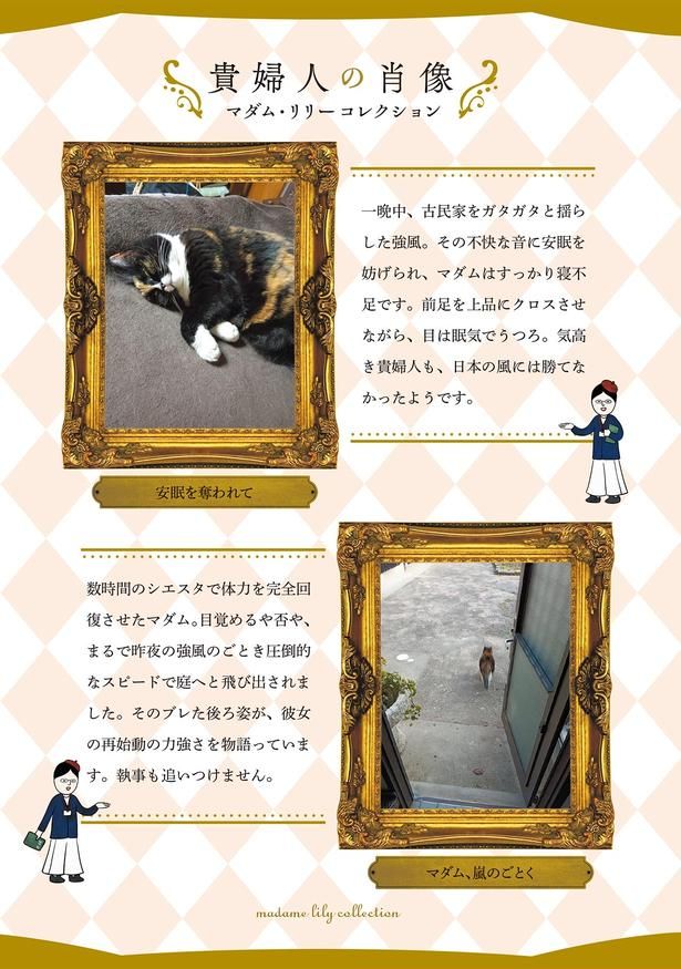 貴婦人の肖像 （C）かんさび／KADOKAWA