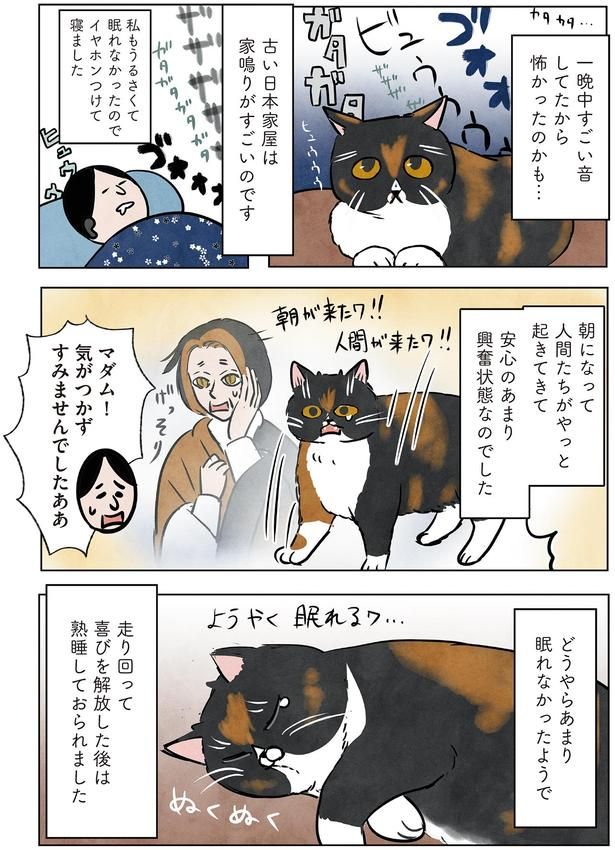 マダム！気がつかずすみませんでしたああ （C）かんさび／KADOKAWA