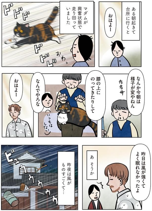 なんか今朝は様子が変やねん （C）かんさび／KADOKAWA