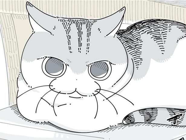 怖がっているのに…？ （C）キュルZ／KADOKAWA