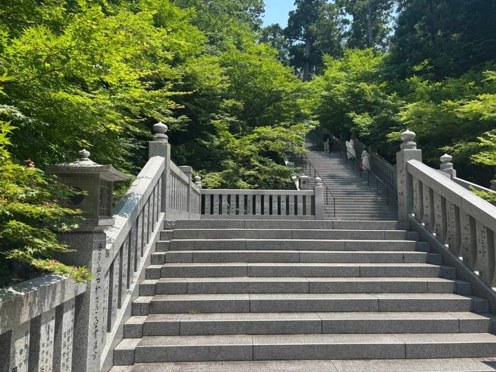 法多山 階段 新緑