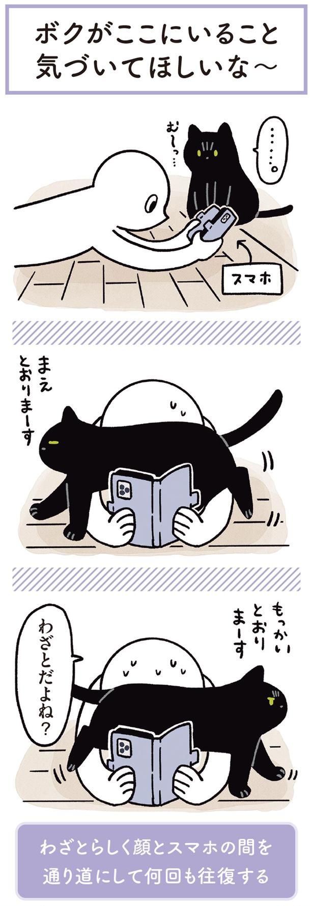わざとだよね？ （C）AKR／KADOKAWA