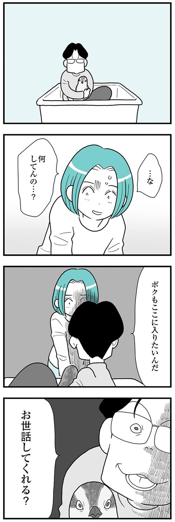 お世話してくれる？ （C）前川さなえ／KADOKAWA LifeDesign