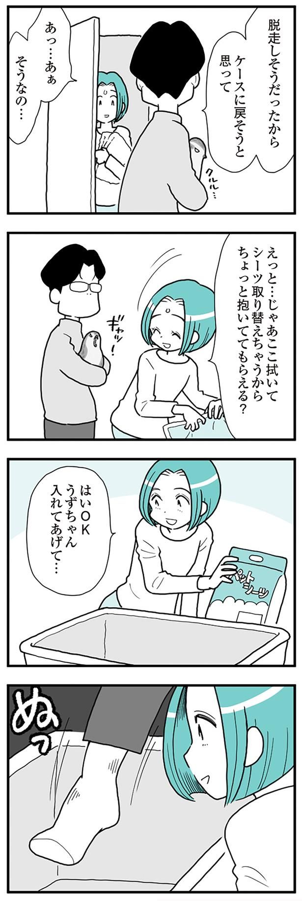 うずちゃん入れてあげて… （C）前川さなえ／KADOKAWA LifeDesign
