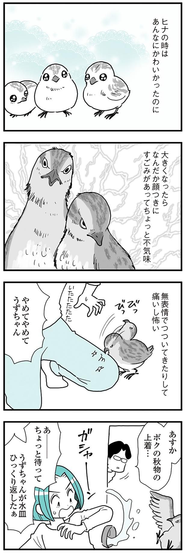 あんなにかわいかったのに （C）前川さなえ／KADOKAWA LifeDesign