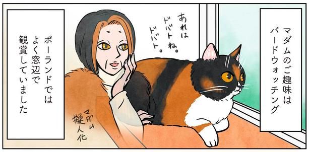 マダムのご趣味はバードウォッチング （C）かんさび／KADOKAWA