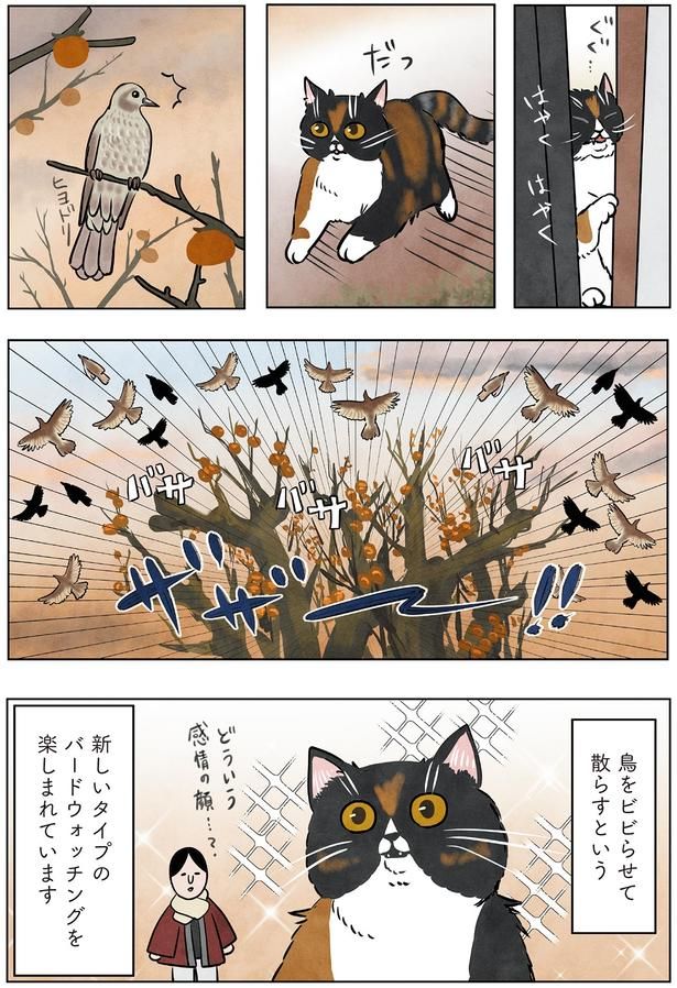 どういう感情の顔…？ （C）かんさび／KADOKAWA