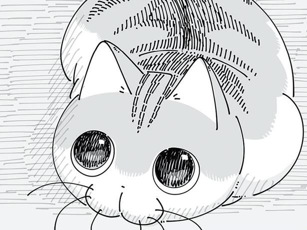 なんだか目が泳いでいる…？ （C）キュルZ／KADOKAWA