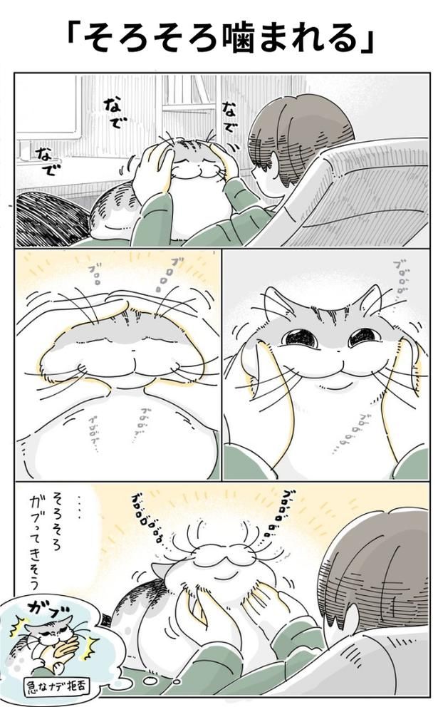 「そろそろ噛まれる」01 画像提供：キュルZ@kyuryuZ