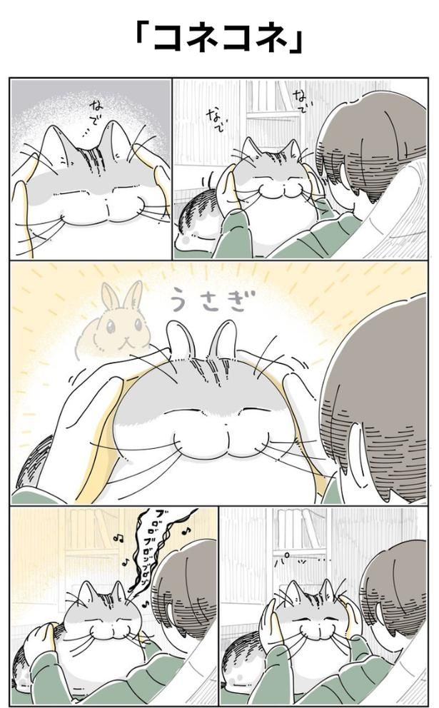 「コネコネ」01 画像提供：キュルZ@kyuryuZ