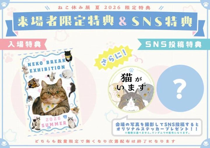 夏本祭だけのオリジナル特典