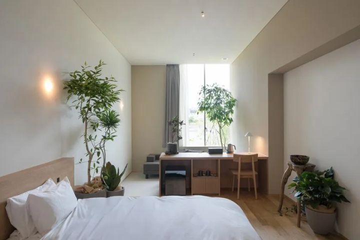 植物と暮らす価値観に触れるコンセプトルーム garage room