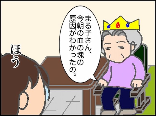 頑張り過ぎない介護／まる子