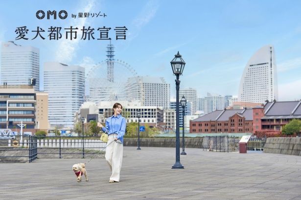 横浜の街ナカには愛犬と一緒に過ごせるカフェや飲食店、散歩できるエリアが多数