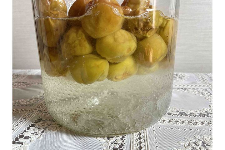 仕込み2週間後の「梅シロップ」。氷砂糖がまだ残っています。完全に溶けたら飲みごろです。